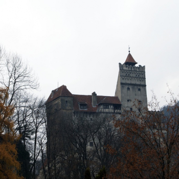dsc_0080