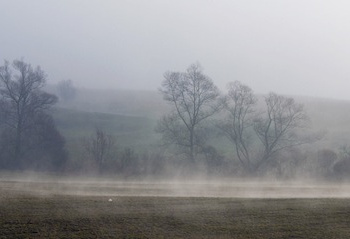dsc_0166