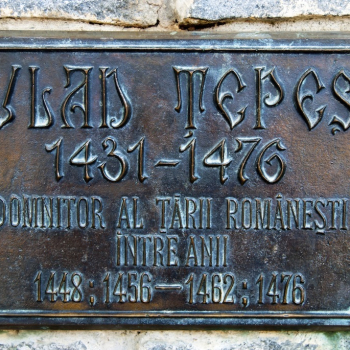 dsc_0261